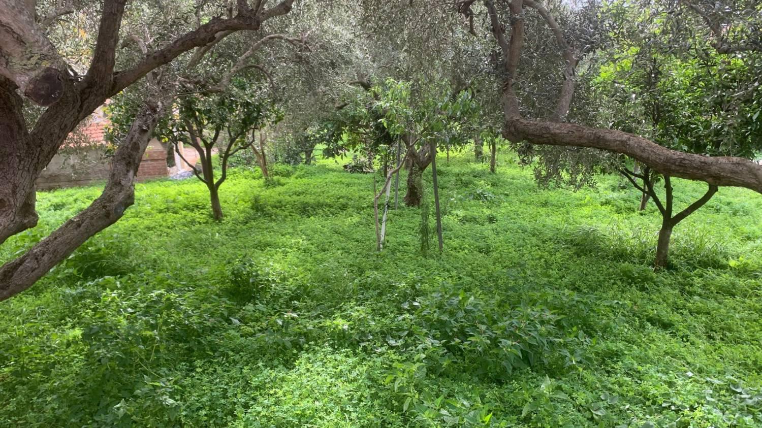 Villa Bifamiliare con giardino a Misilmeri