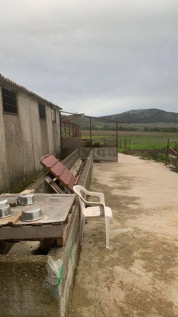 Villa in vendita a Santa Cristina Gela