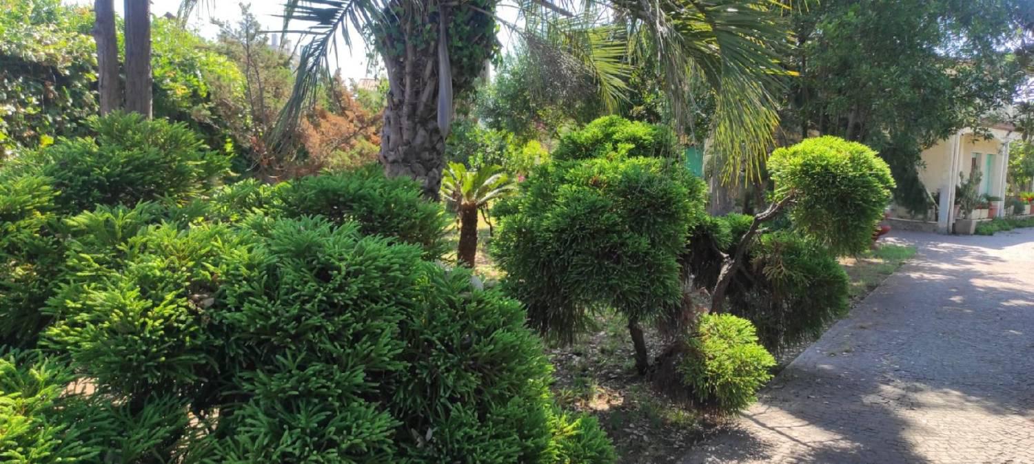 Villa con giardino a Anzio