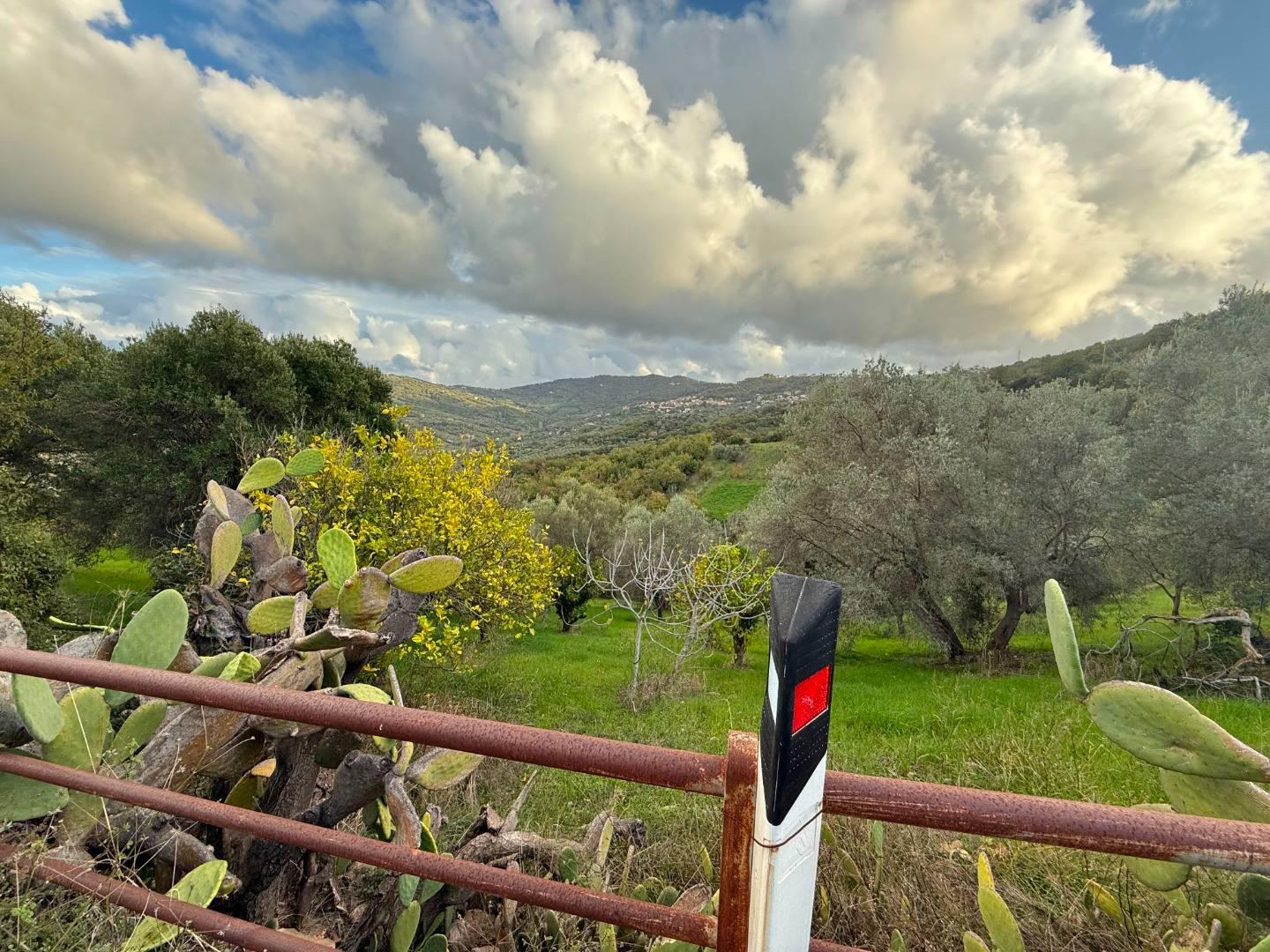 Terreno Agricolo in vendita a Agropoli