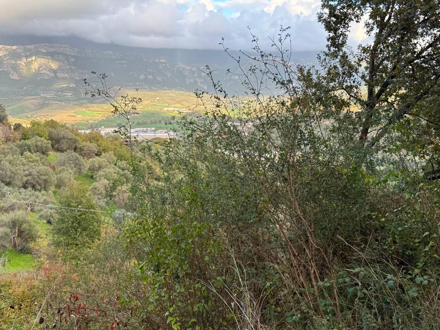 Terreno Agricolo in vendita a Agropoli