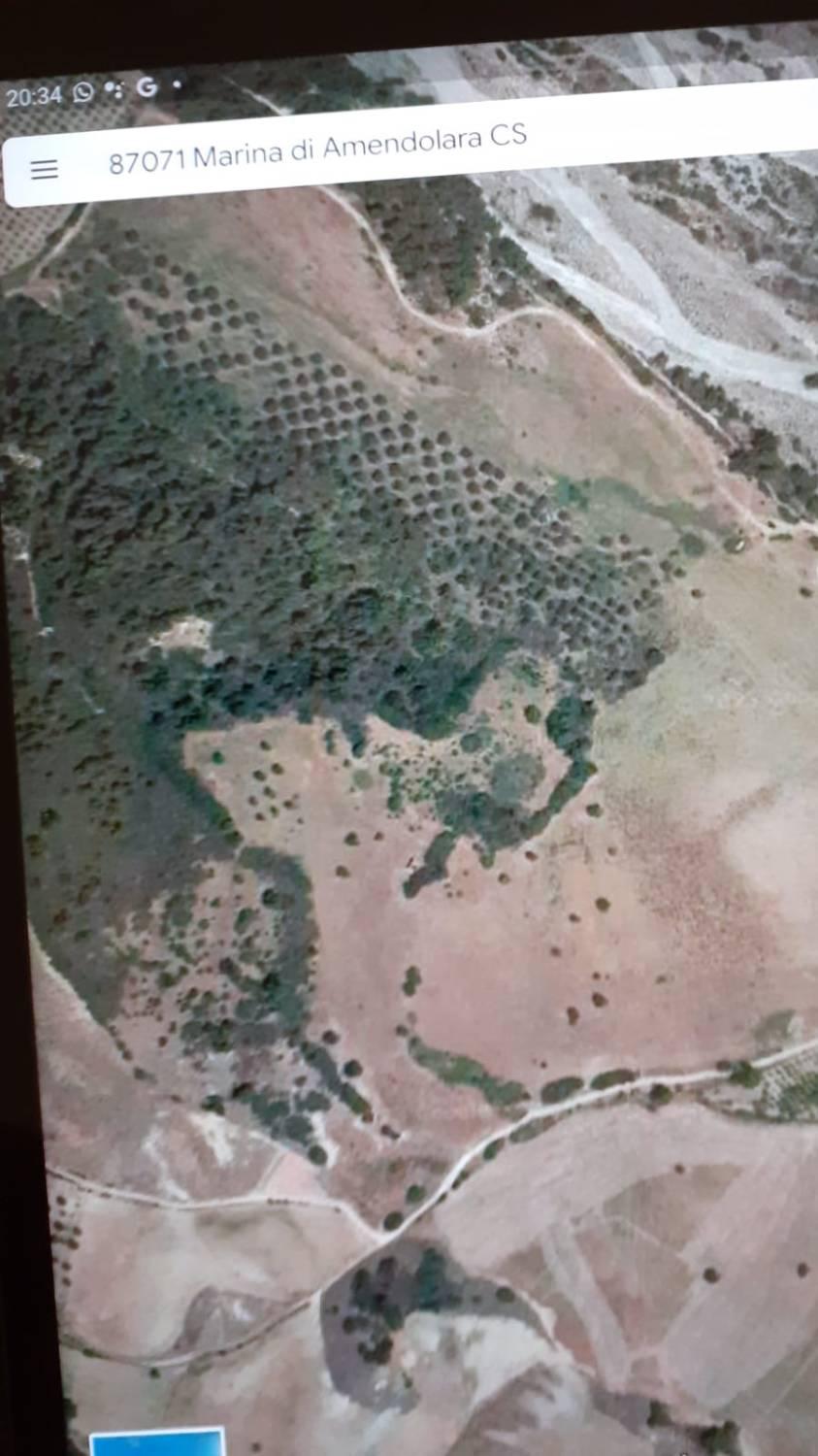 Terreno Agricolo in vendita a Amendolara