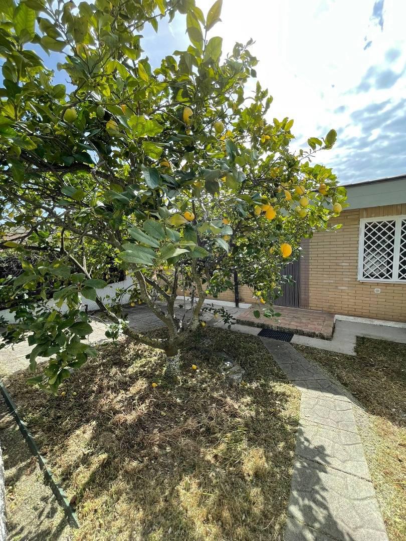 Villa in vendita a Gizzeria