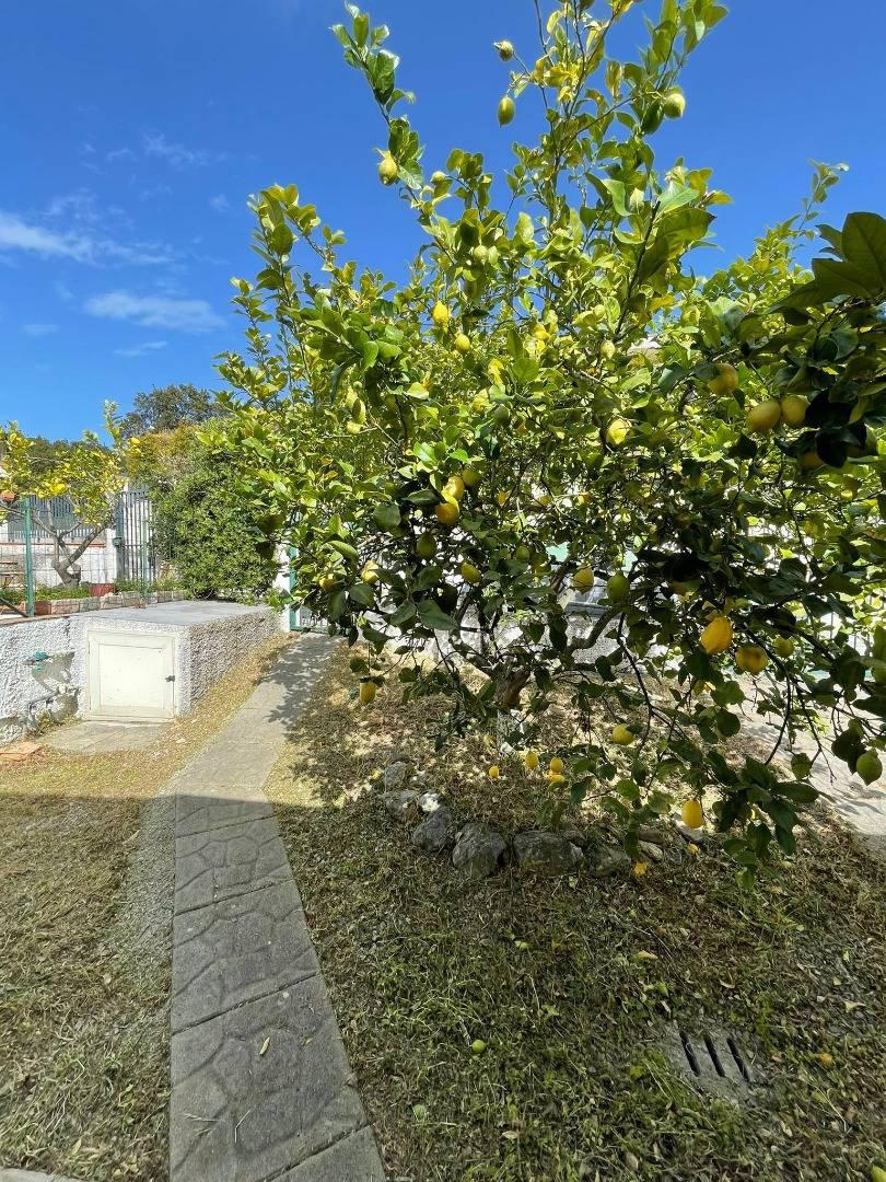 Villa in vendita a Gizzeria