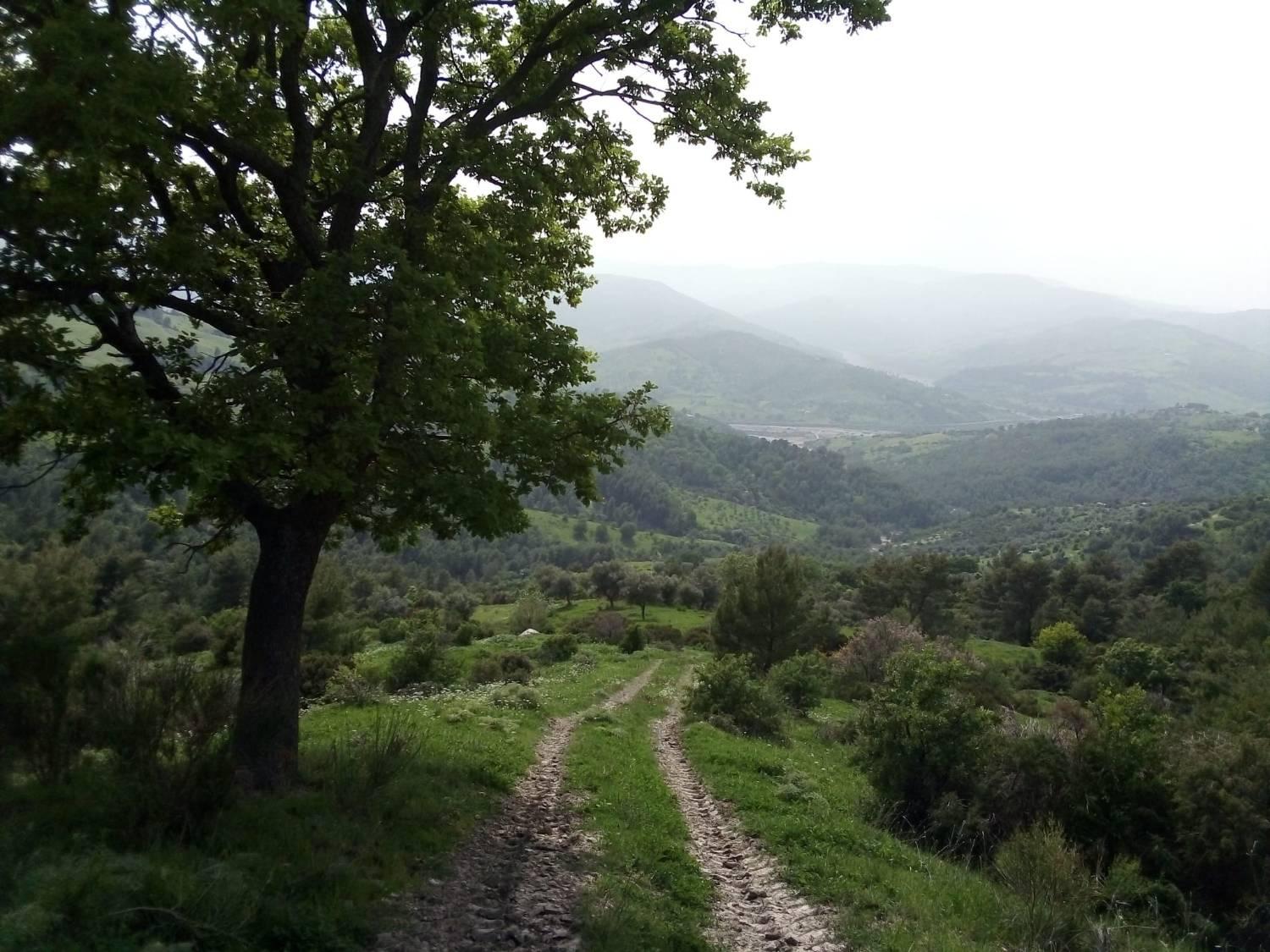 Attivit� commerciale con giardino a Oriolo