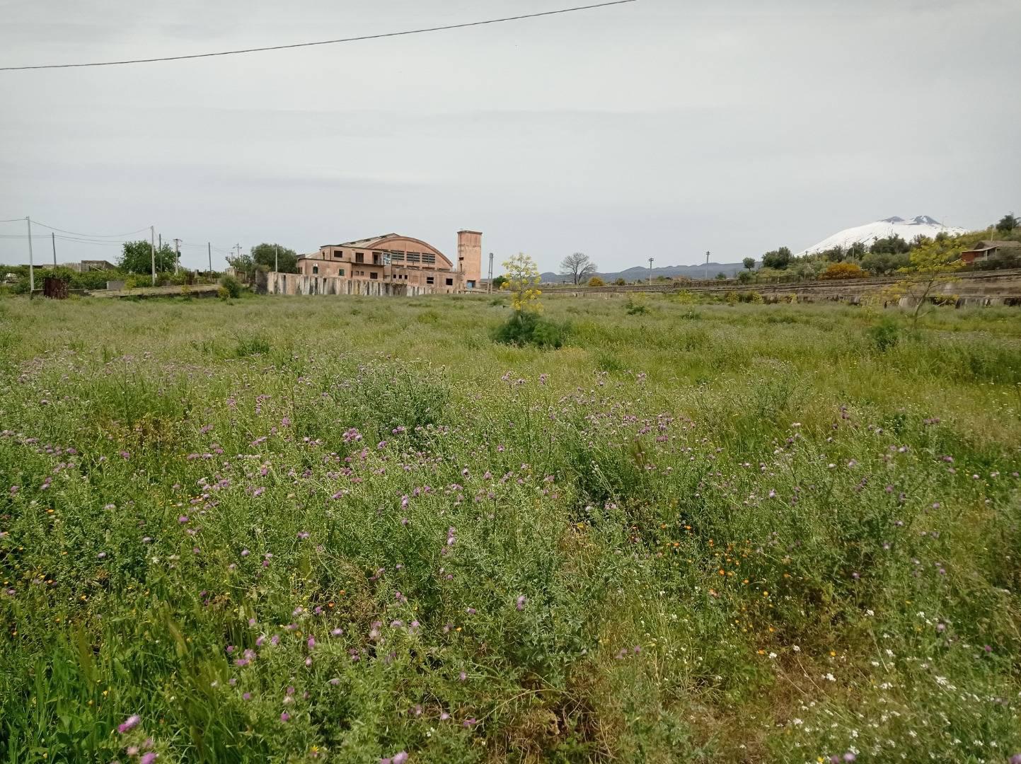 Rustico da ristrutturare a Patern�