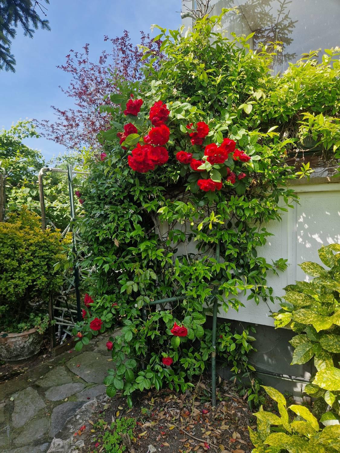 Appartamento con giardino a Gassino Torinese