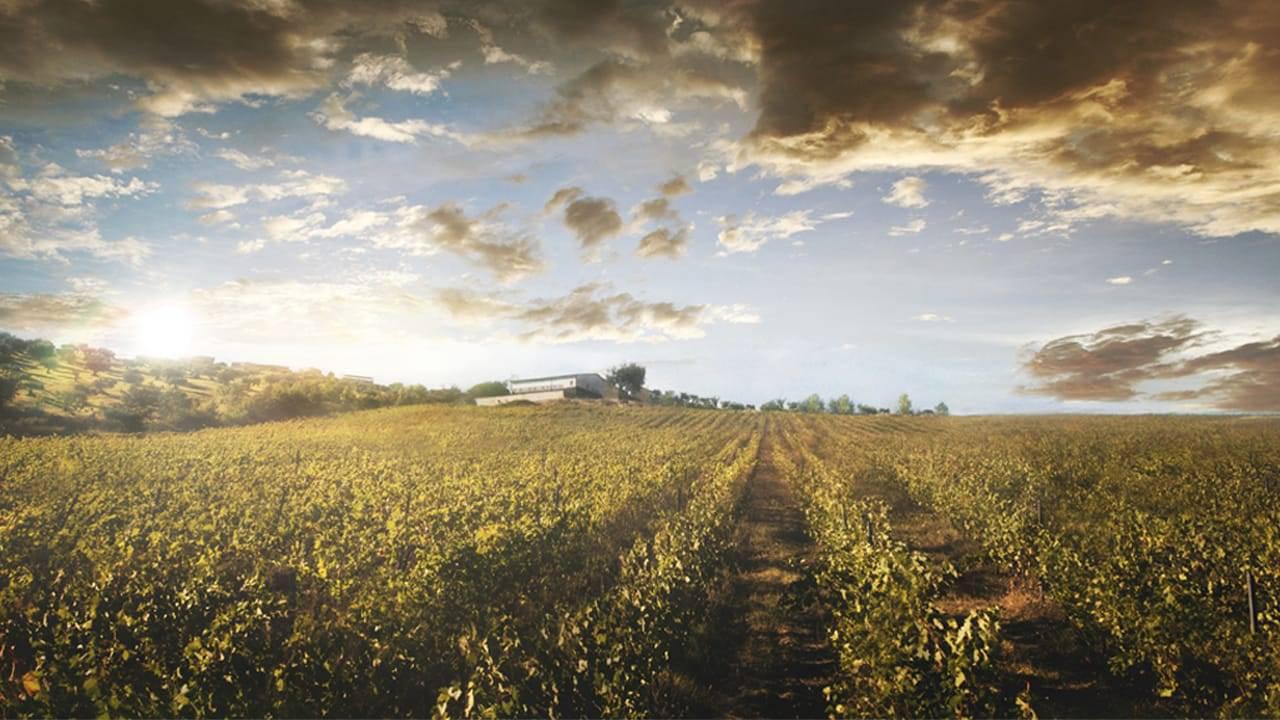 Attivit� commerciale in vendita a Montalto Uffugo