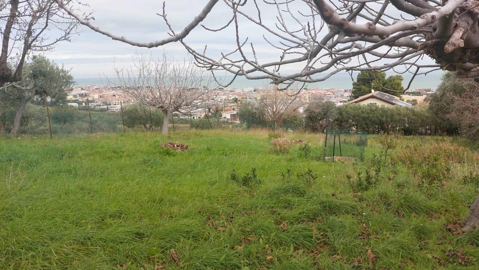 Terreno Edificabile Residenziale in vendita a Tortoreto