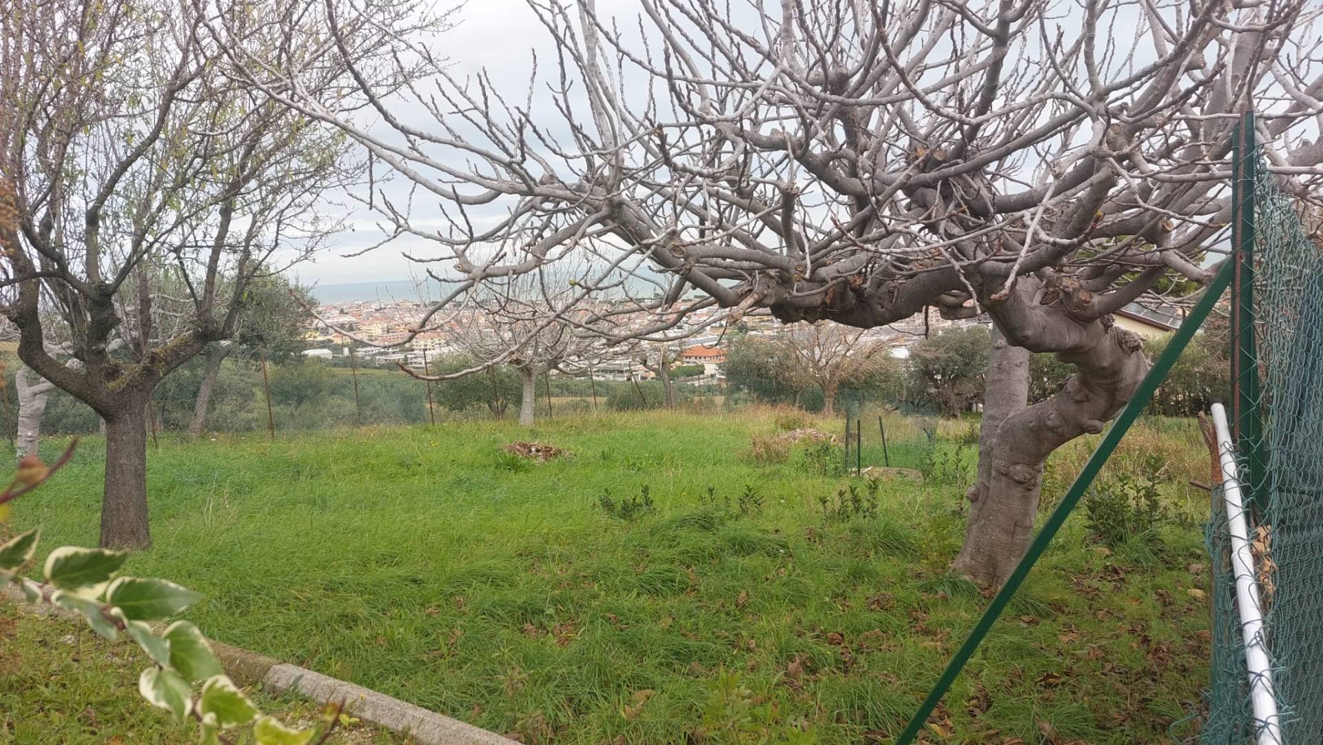 Terreno Edificabile Residenziale in vendita a Tortoreto