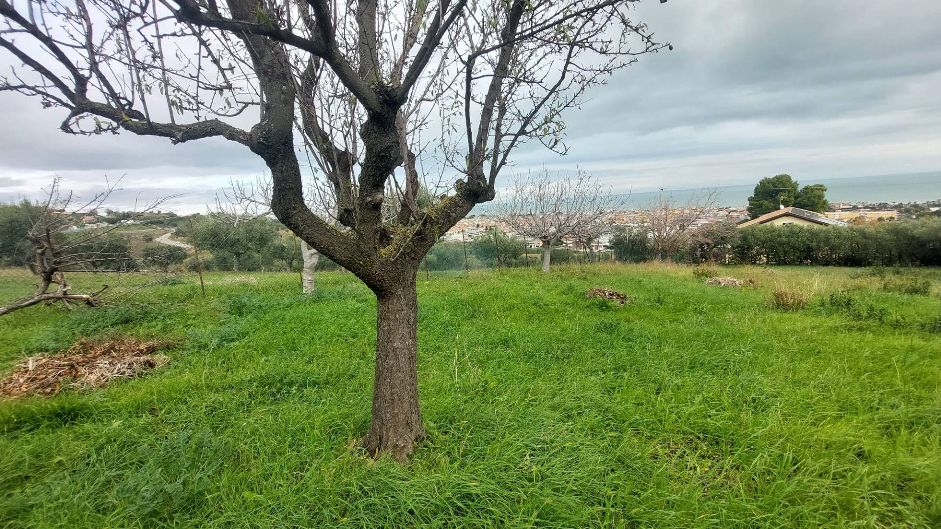 Terreno Edificabile Residenziale in vendita a Tortoreto