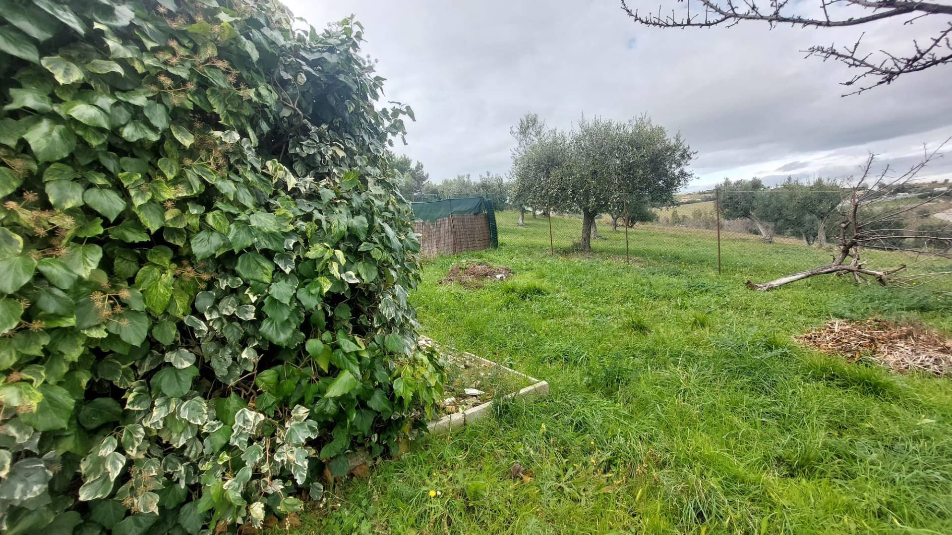 Terreno Edificabile Residenziale in vendita a Tortoreto