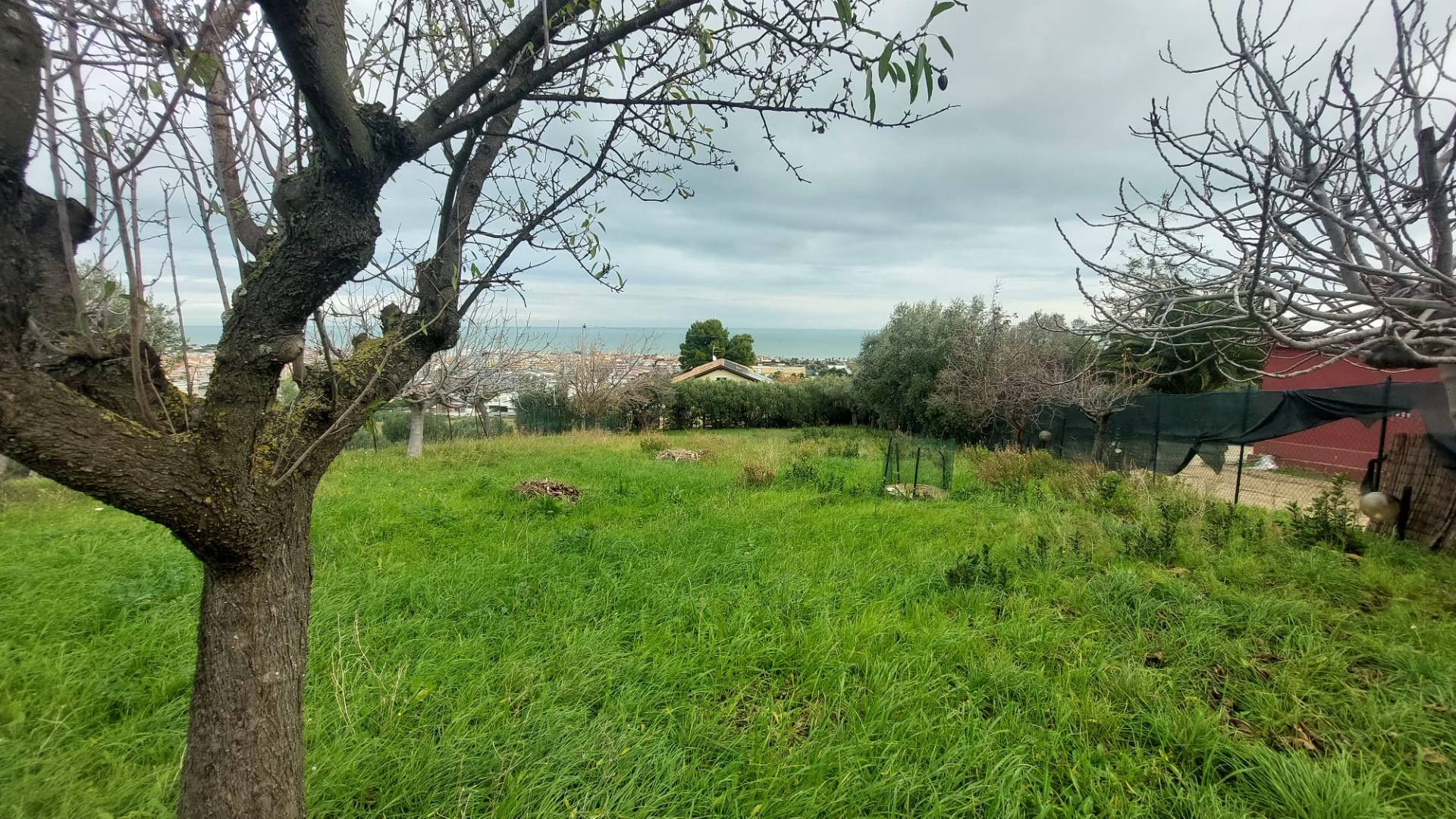 Terreno Edificabile Residenziale in vendita a Tortoreto