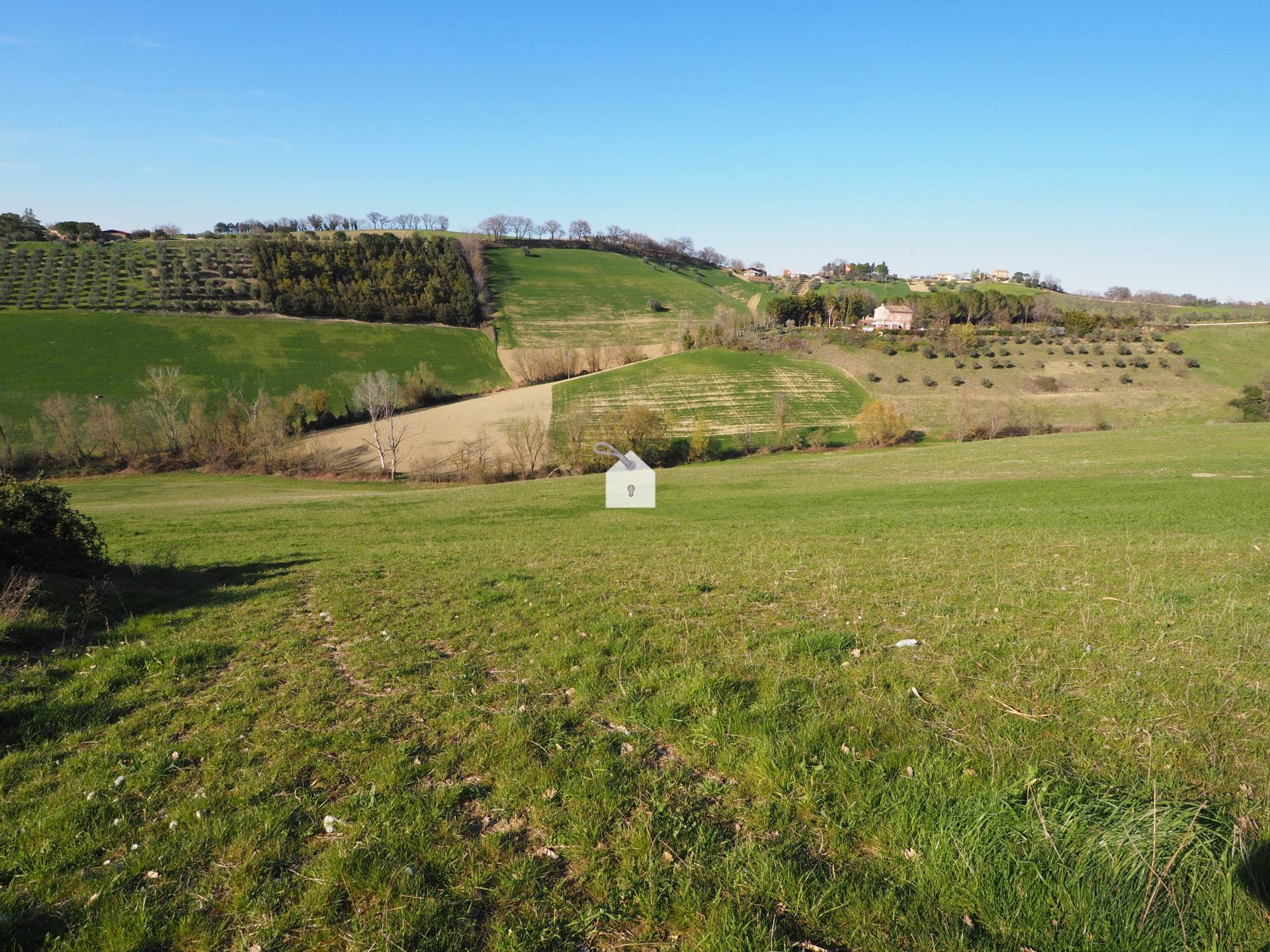 Terreno Agricolo in vendita a Mogliano, Zona Macina