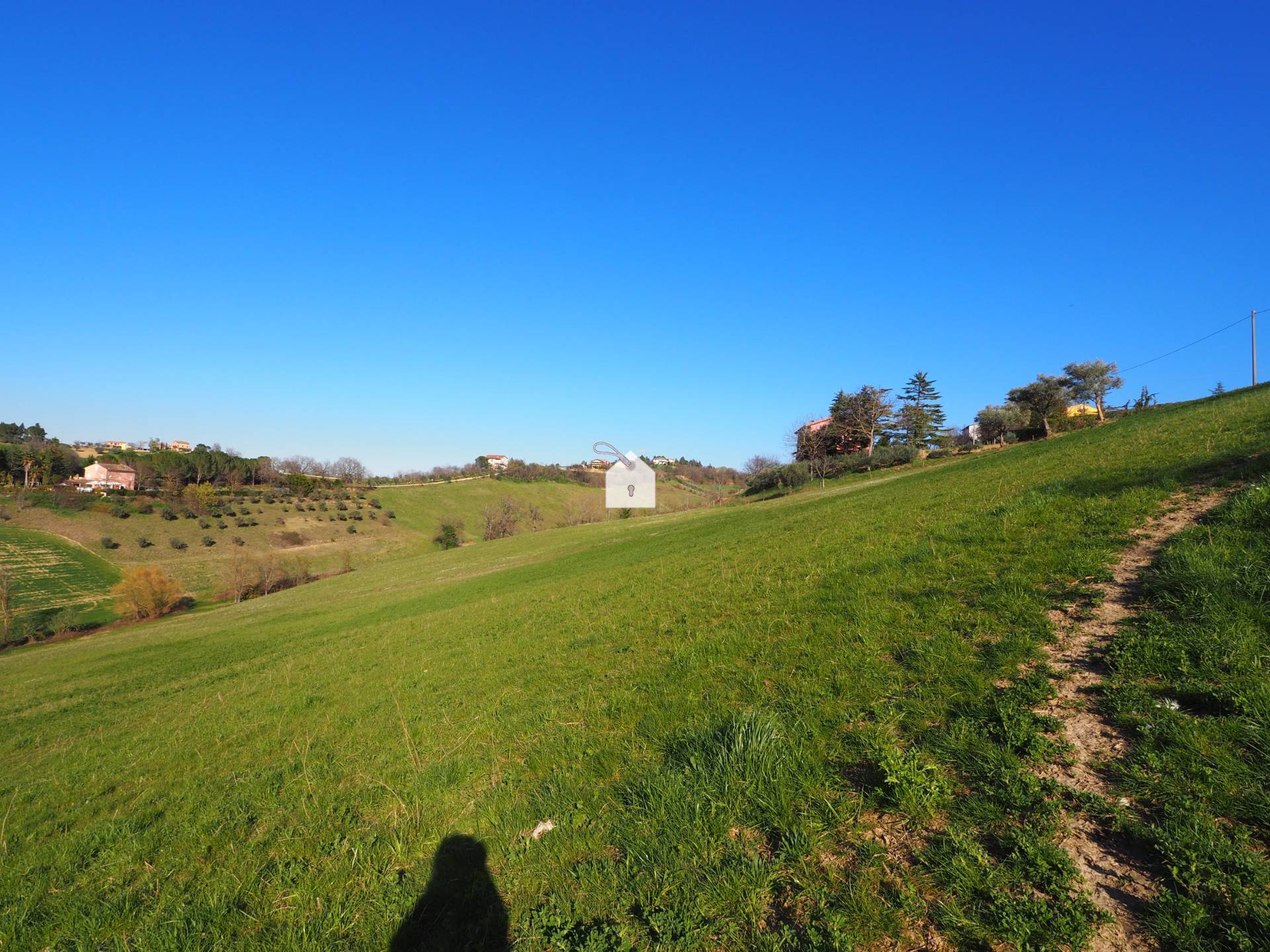 Terreno Agricolo in vendita a Mogliano, Zona Macina