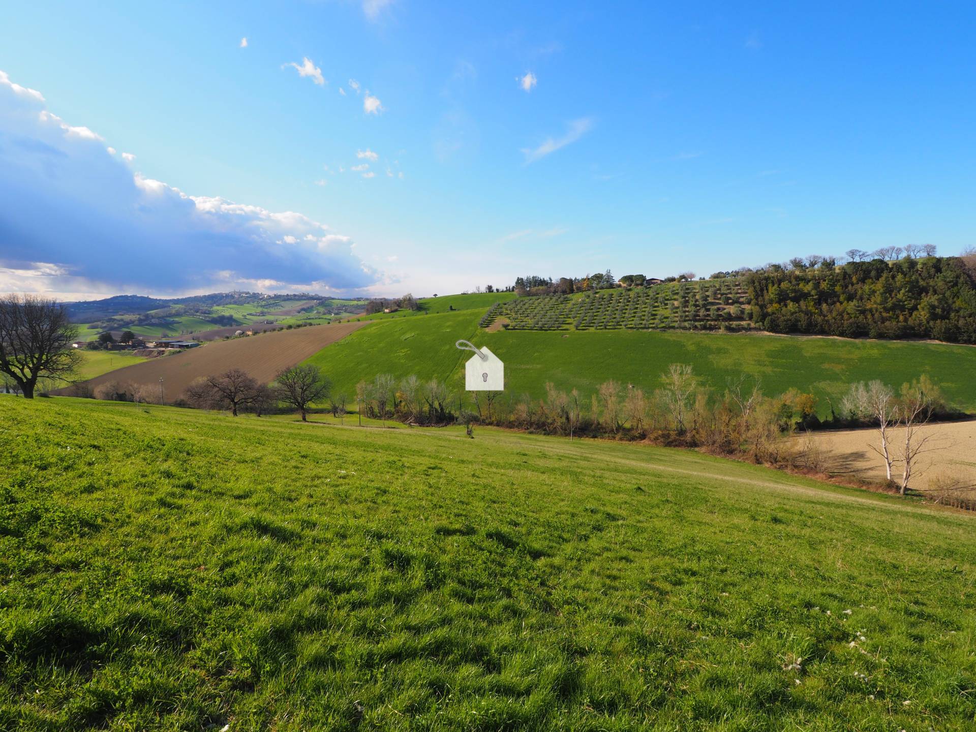 Terreno Agricolo in vendita a Mogliano, Zona Macina