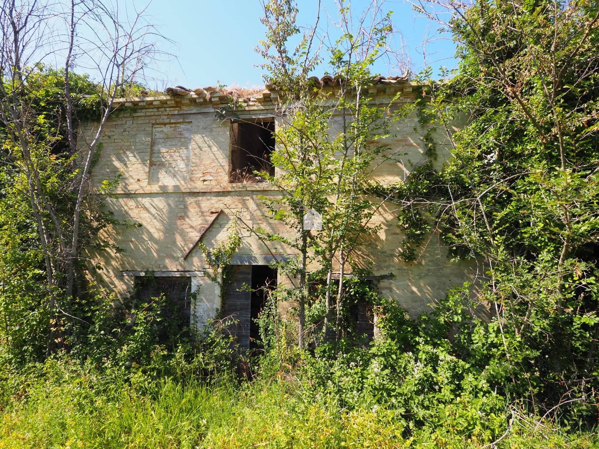 immagine annuncio 1 di 3