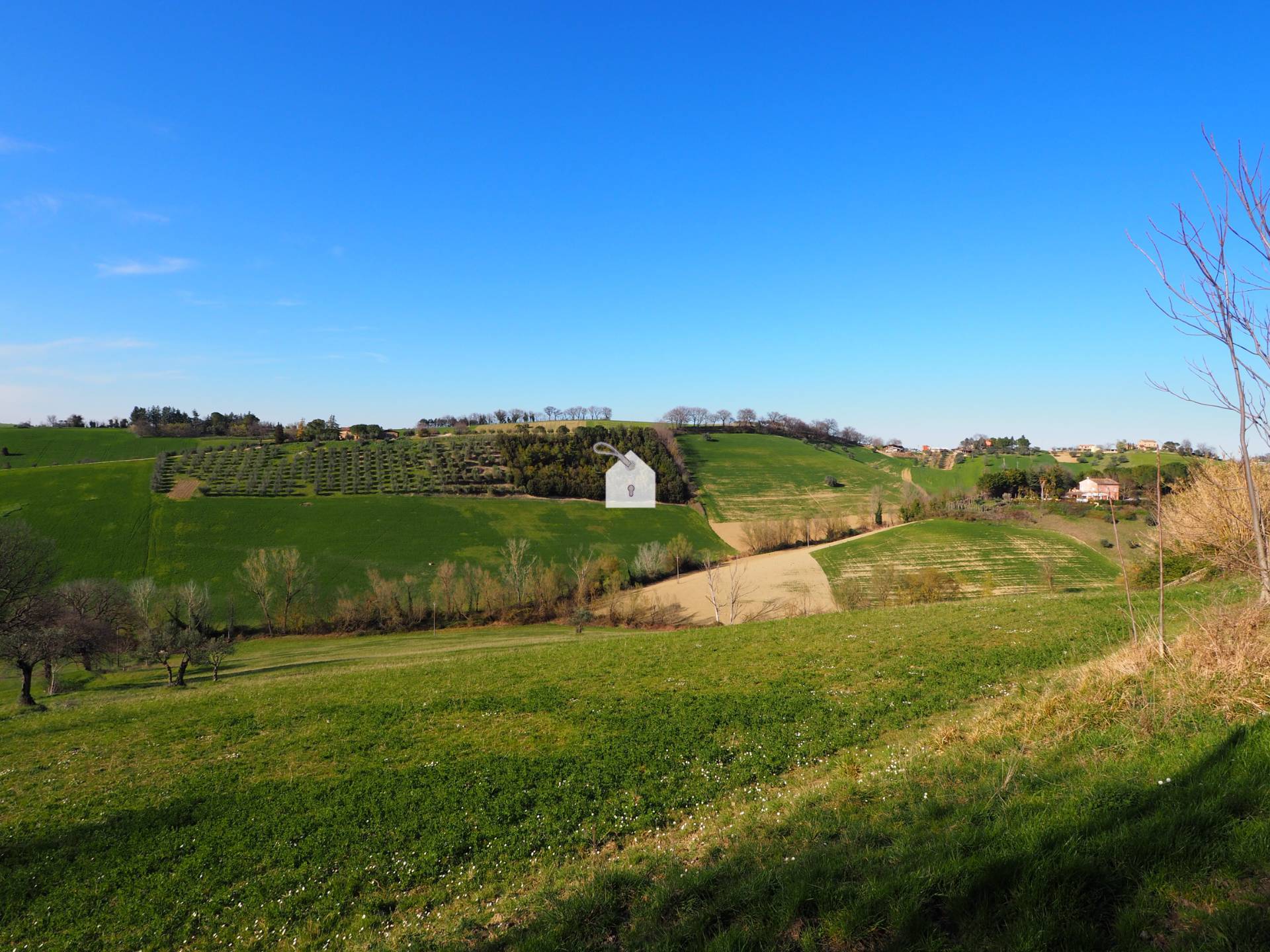 Terreno Agricolo in vendita a Mogliano, Zona Macina