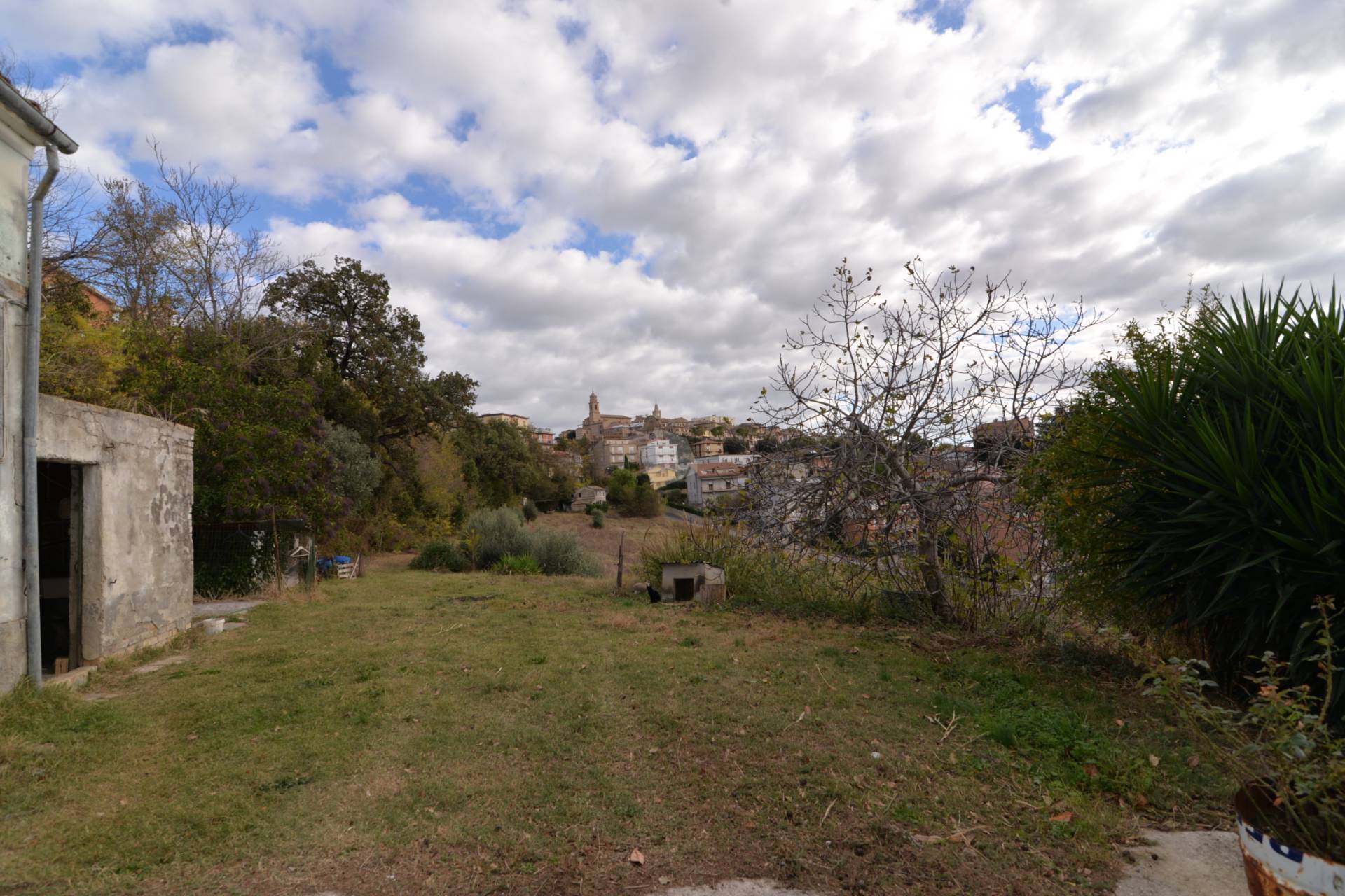 immagine annuncio 5 di 7