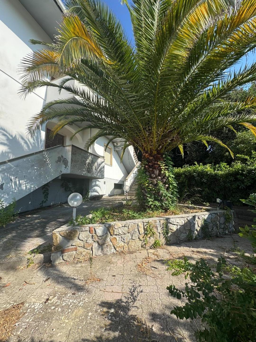 Villa Bifamiliare con giardino, Rosignano Marittimo nibbiaia