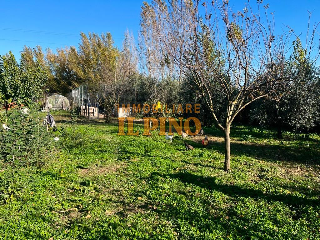 Terreno Agricolo in vendita, Pisa putignano no