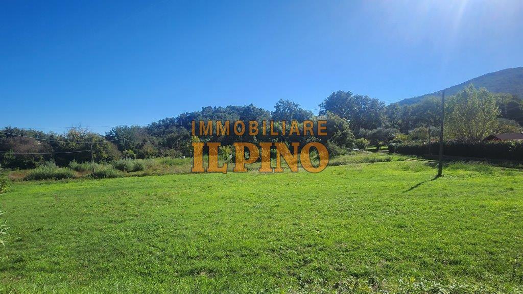 Bilocale in vendita a Vicopisano