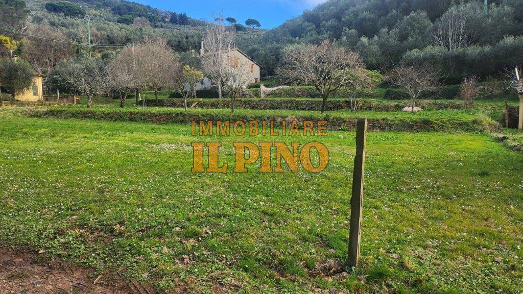 Terreno Agricolo in vendita, Vicopisano san giovanni alla vena