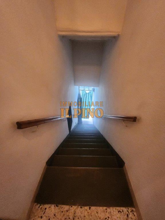 Rustico con giardino a Vicopisano