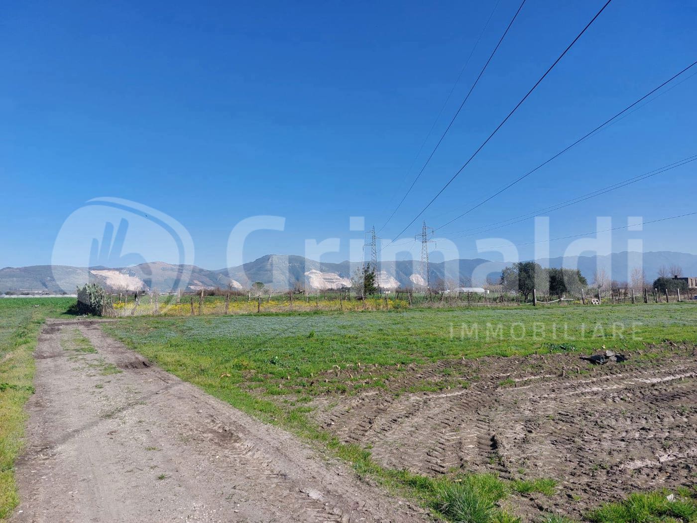 Terreno Agricolo in vendita a Brusciano