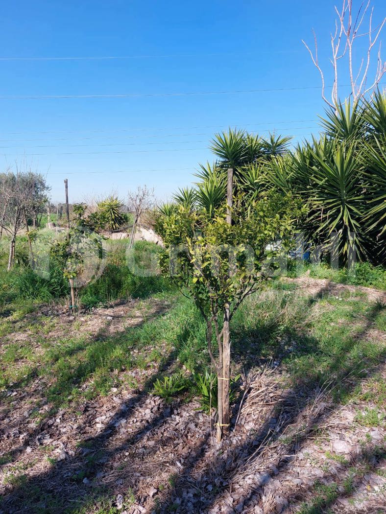 Terreno Agricolo in vendita a Brusciano