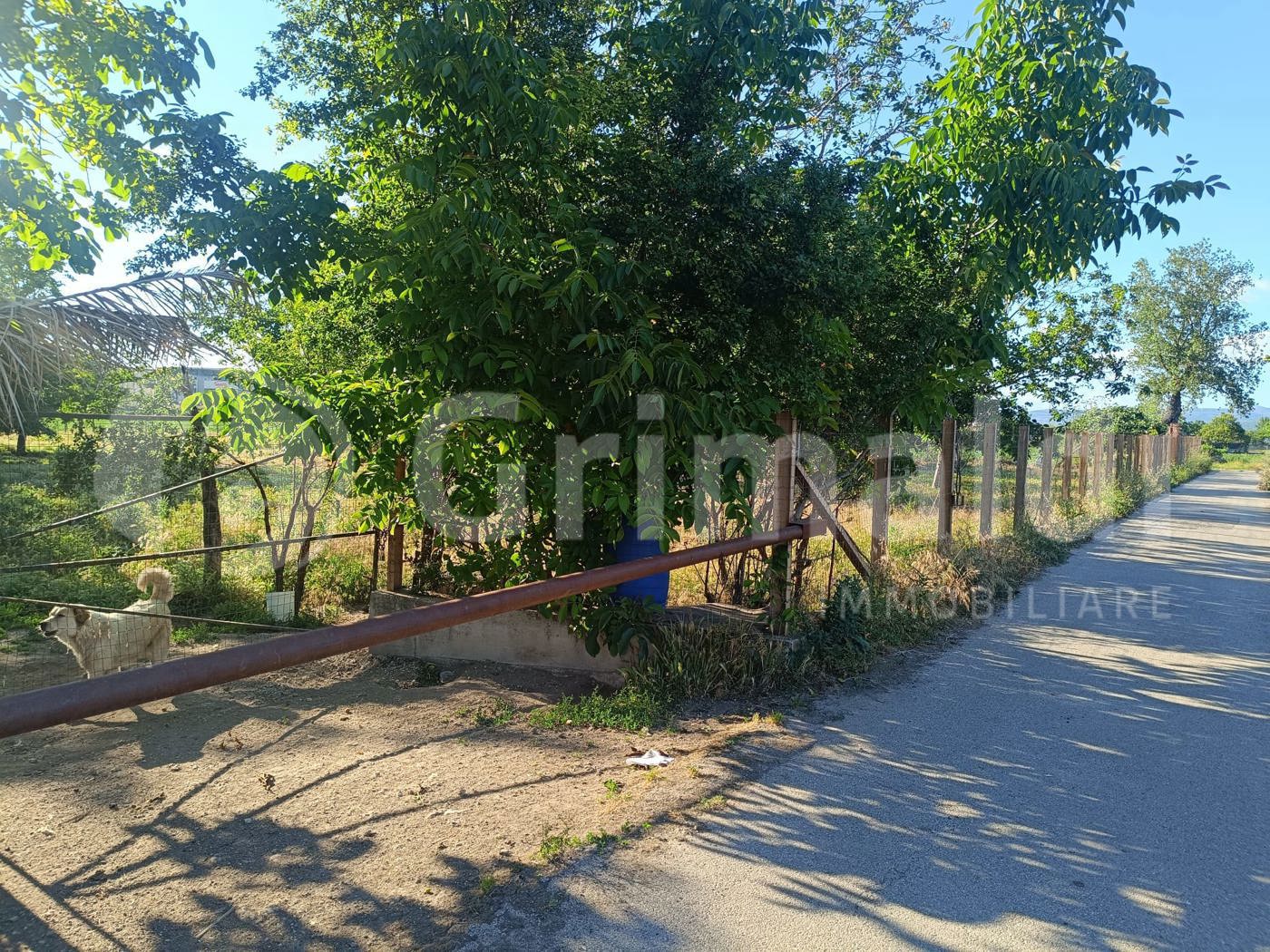 Terreno Agricolo in vendita a Brusciano