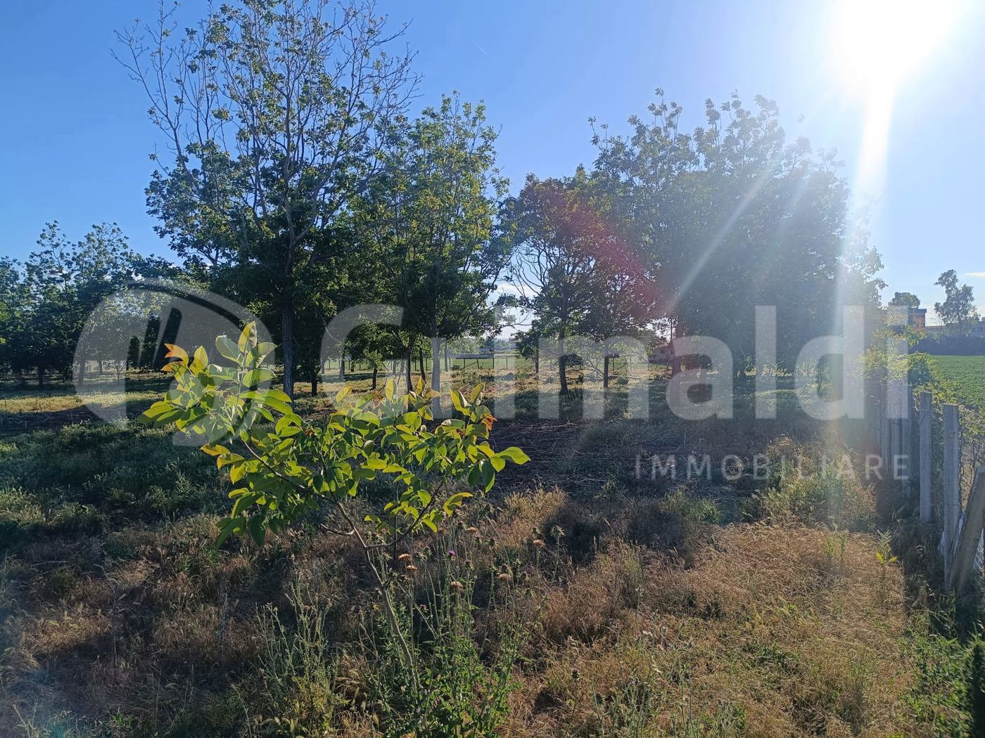 Terreno Agricolo in vendita a Brusciano
