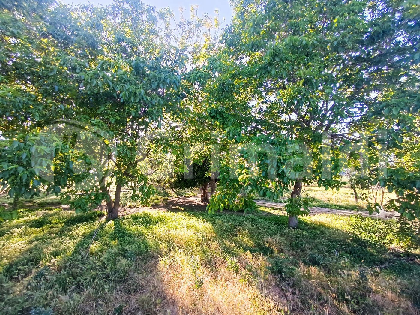 Terreno Agricolo in vendita a Brusciano