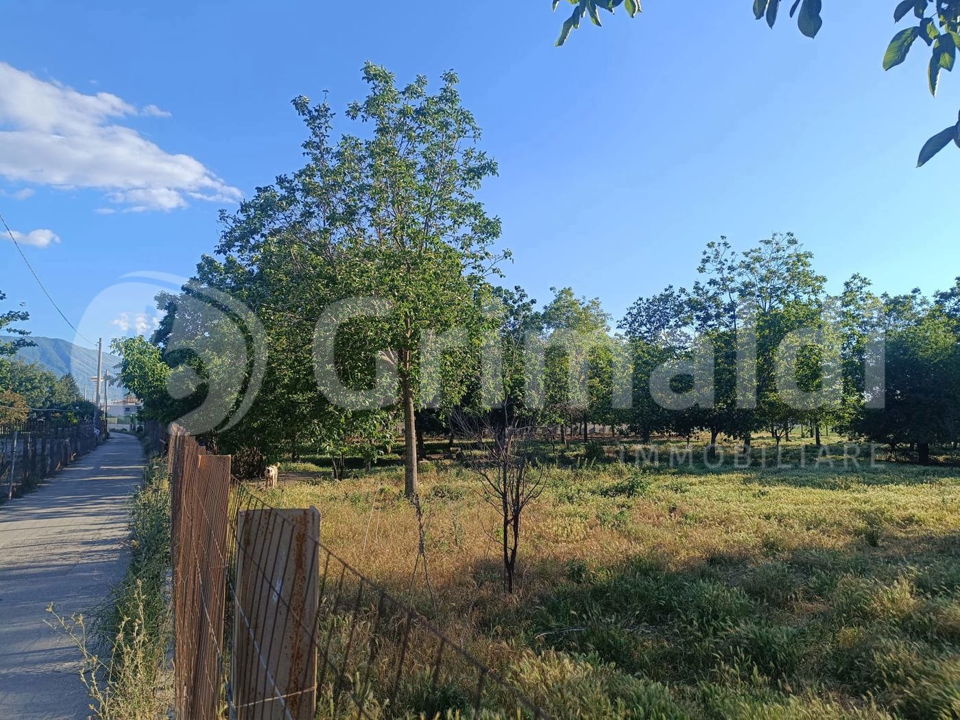 Terreno Agricolo in vendita a Brusciano