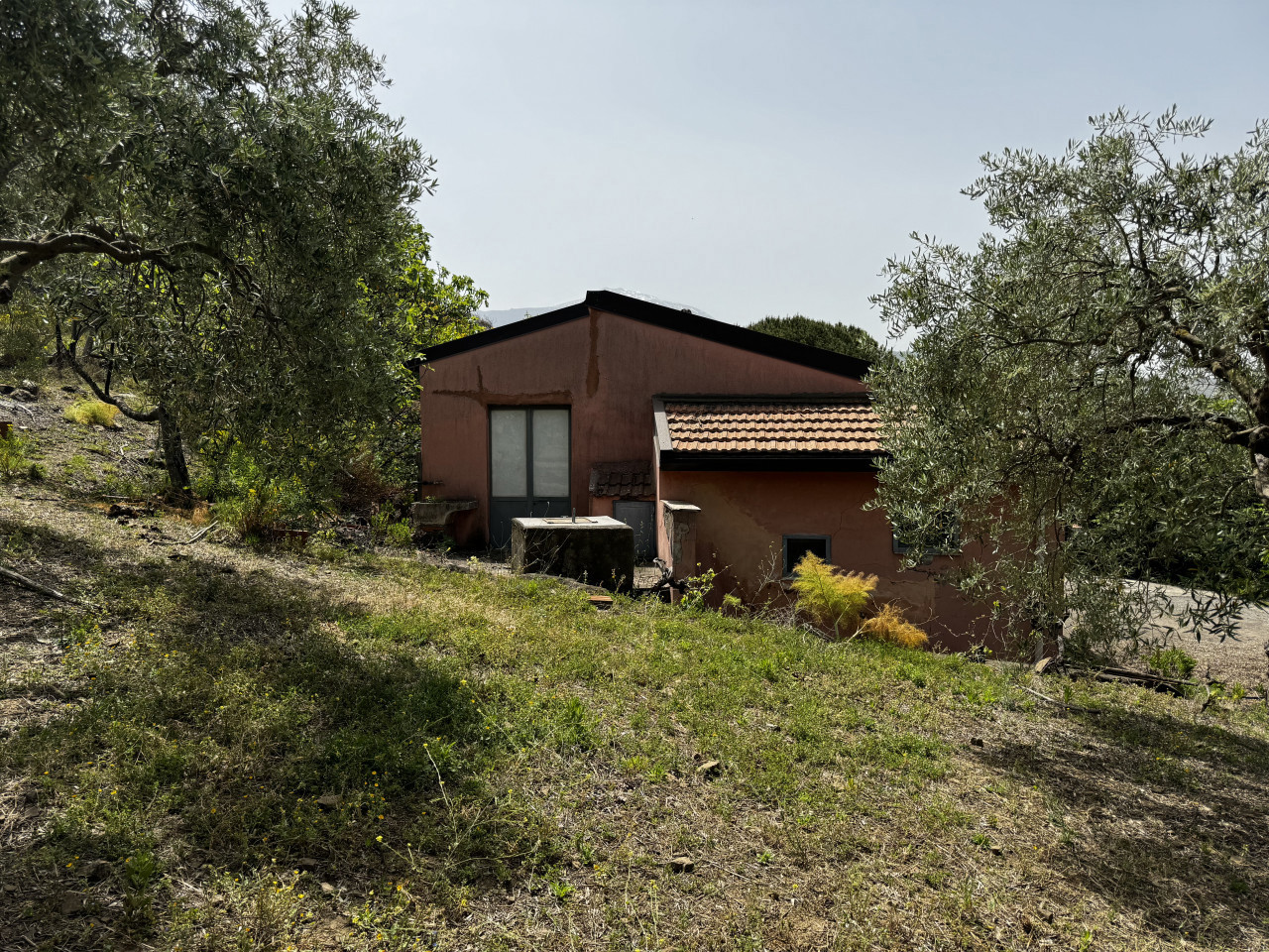 Terreno Agricolo in vendita a Randazzo