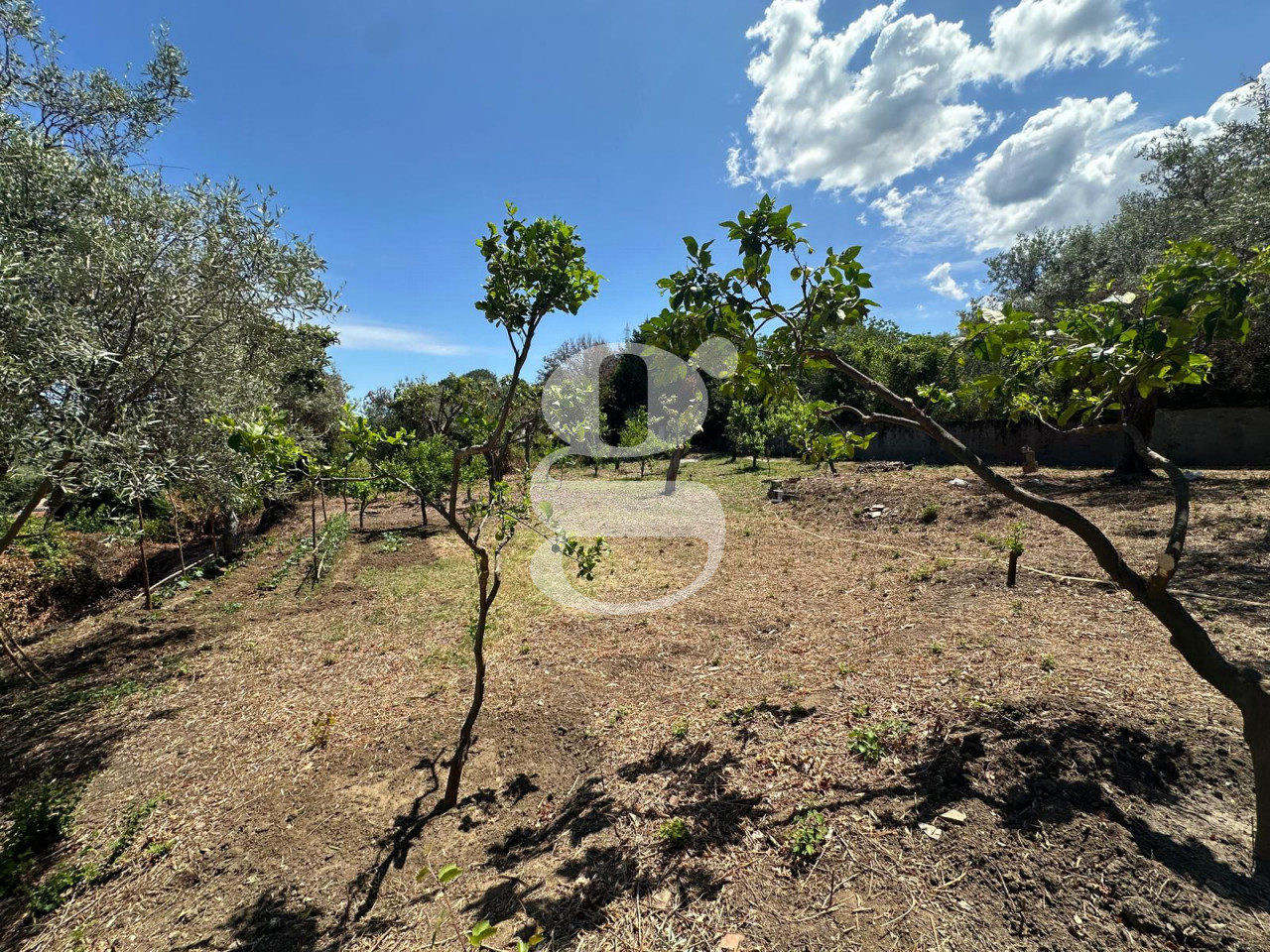 Casa indipendente con giardino a San Filippo del Mela