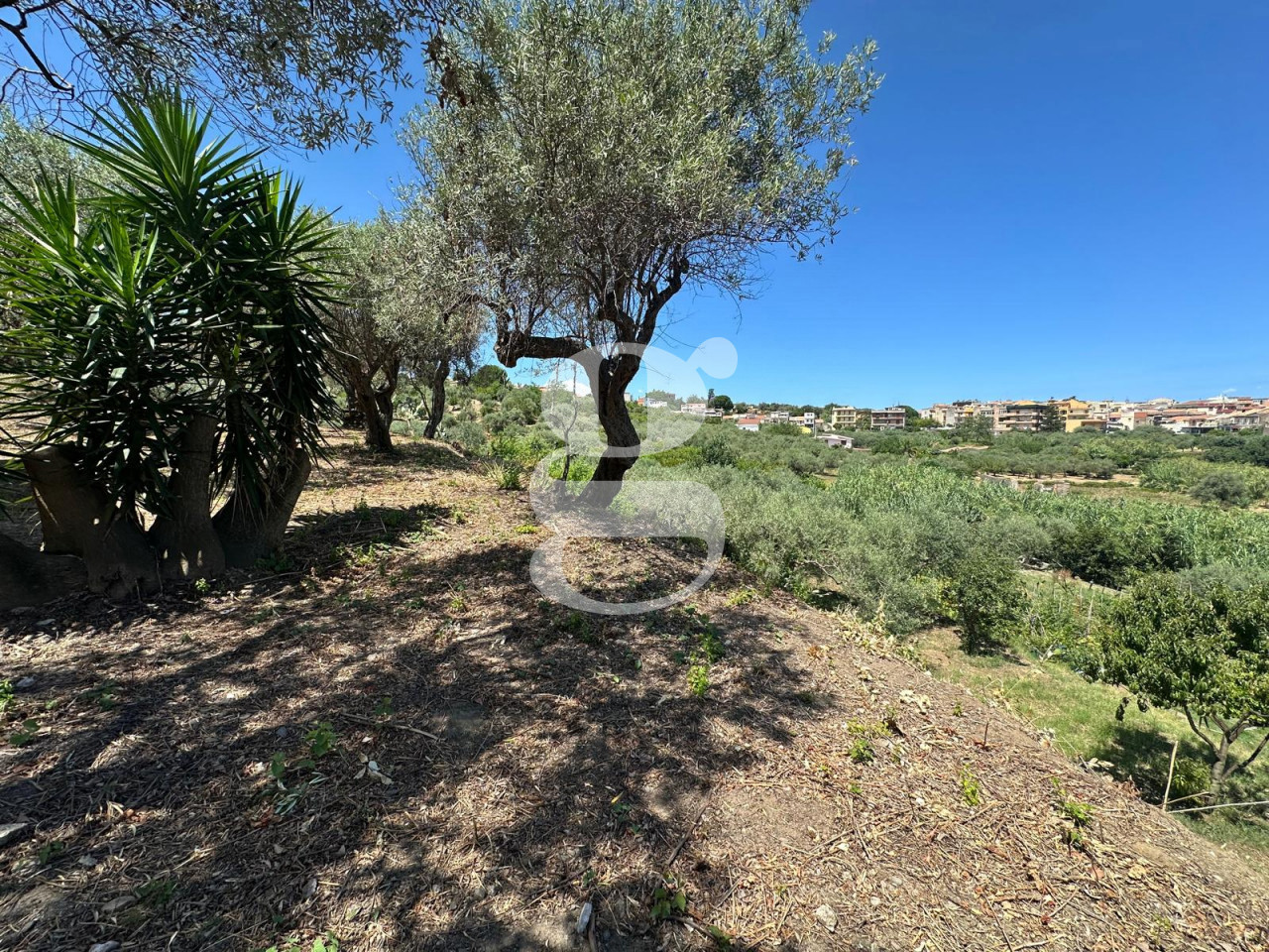 Casa indipendente con giardino a San Filippo del Mela