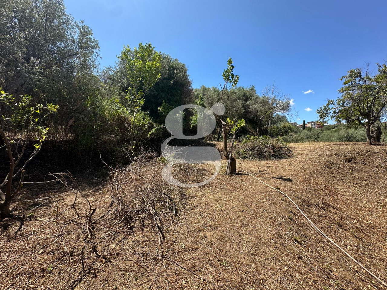 Casa indipendente con giardino a San Filippo del Mela