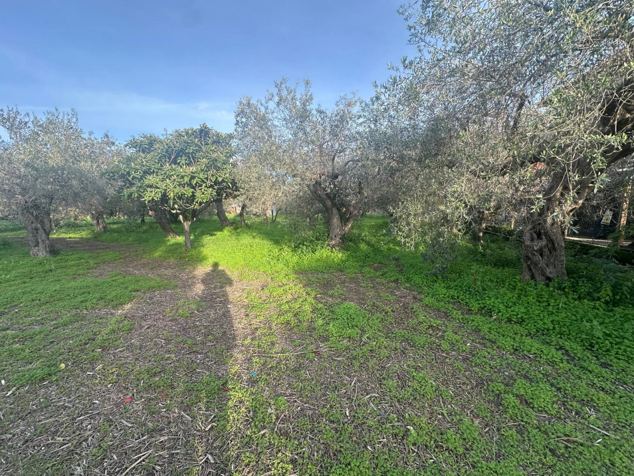 Terreno Edificabile in vendita a Pace del Mela