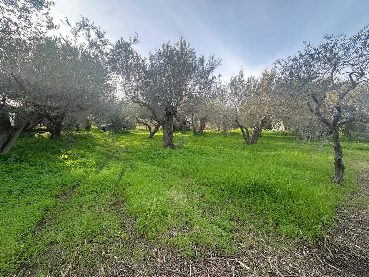 Terreno Edificabile in vendita a Pace del Mela