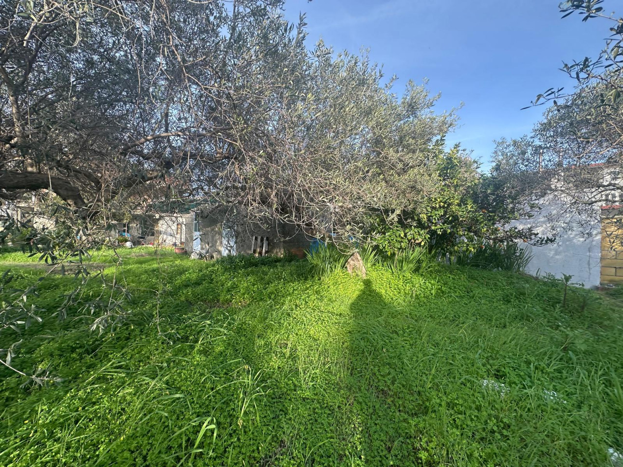 Terreno Edificabile in vendita a Pace del Mela