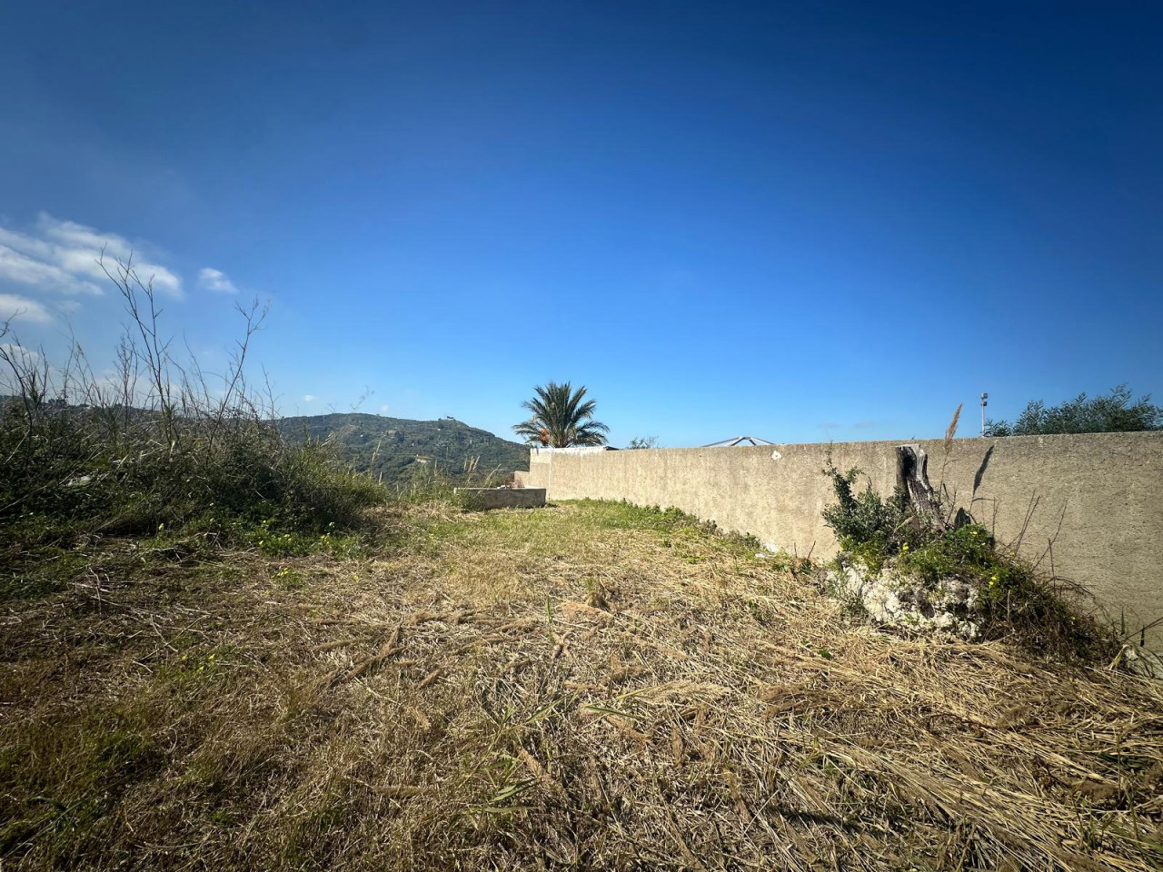 Terreno Agricolo in vendita a Condr�