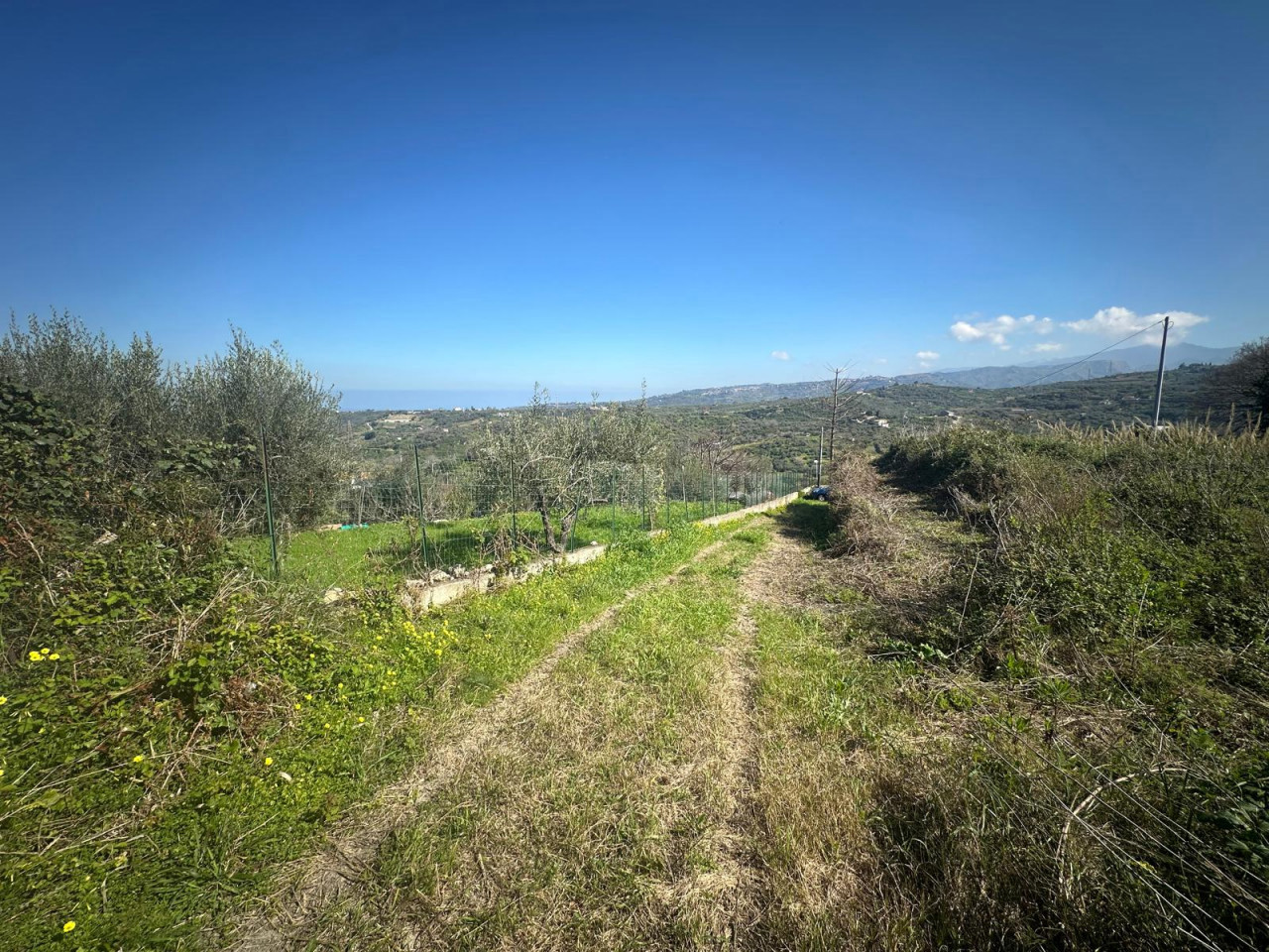 Terreno Agricolo in vendita a Condr�