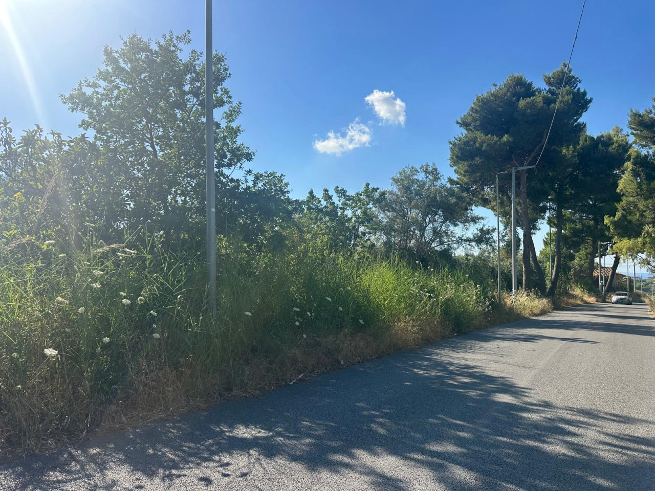 Terreno Agricolo in vendita a San Filippo del Mela