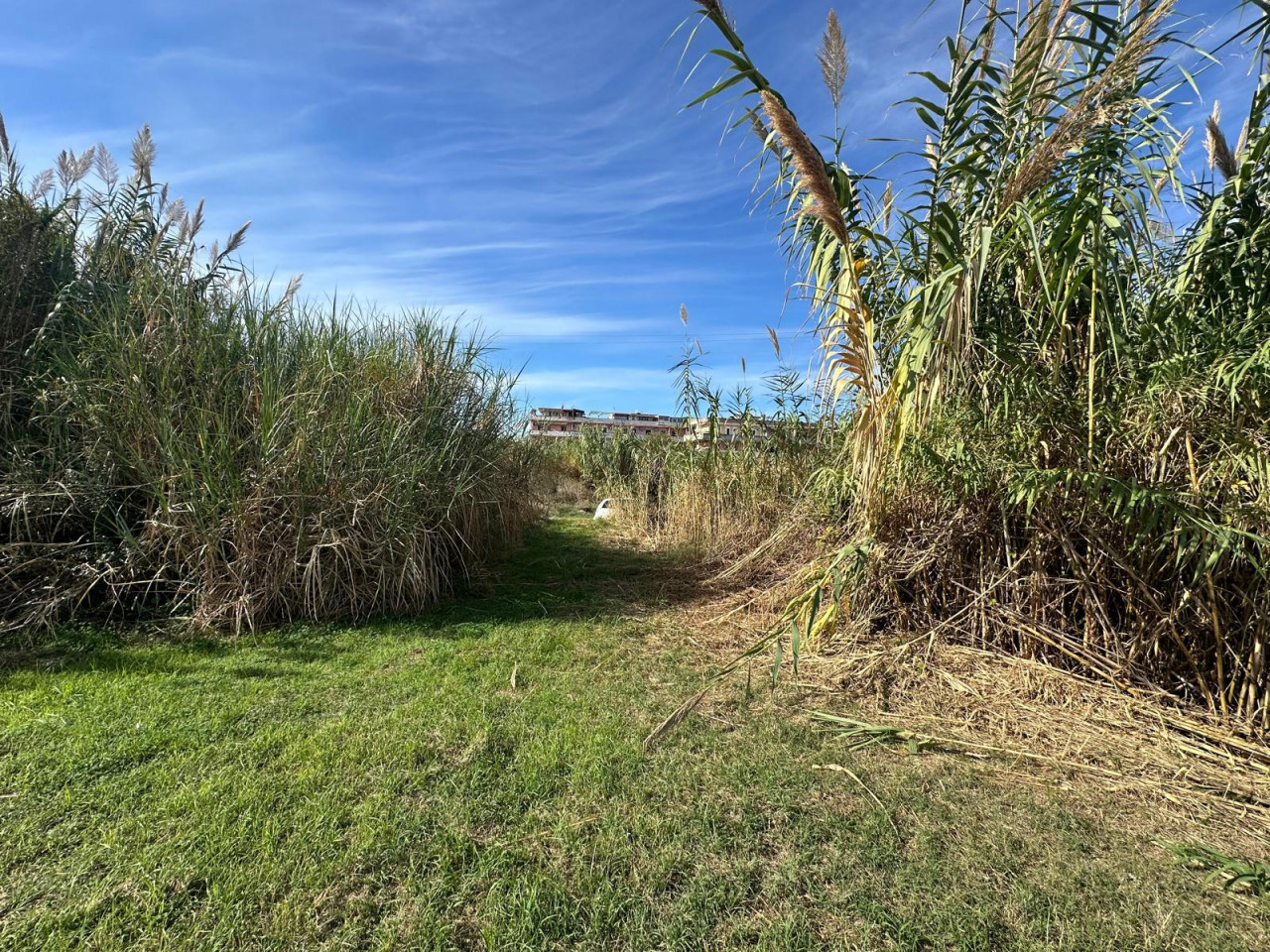 Terreno Agricolo in vendita a Saponara