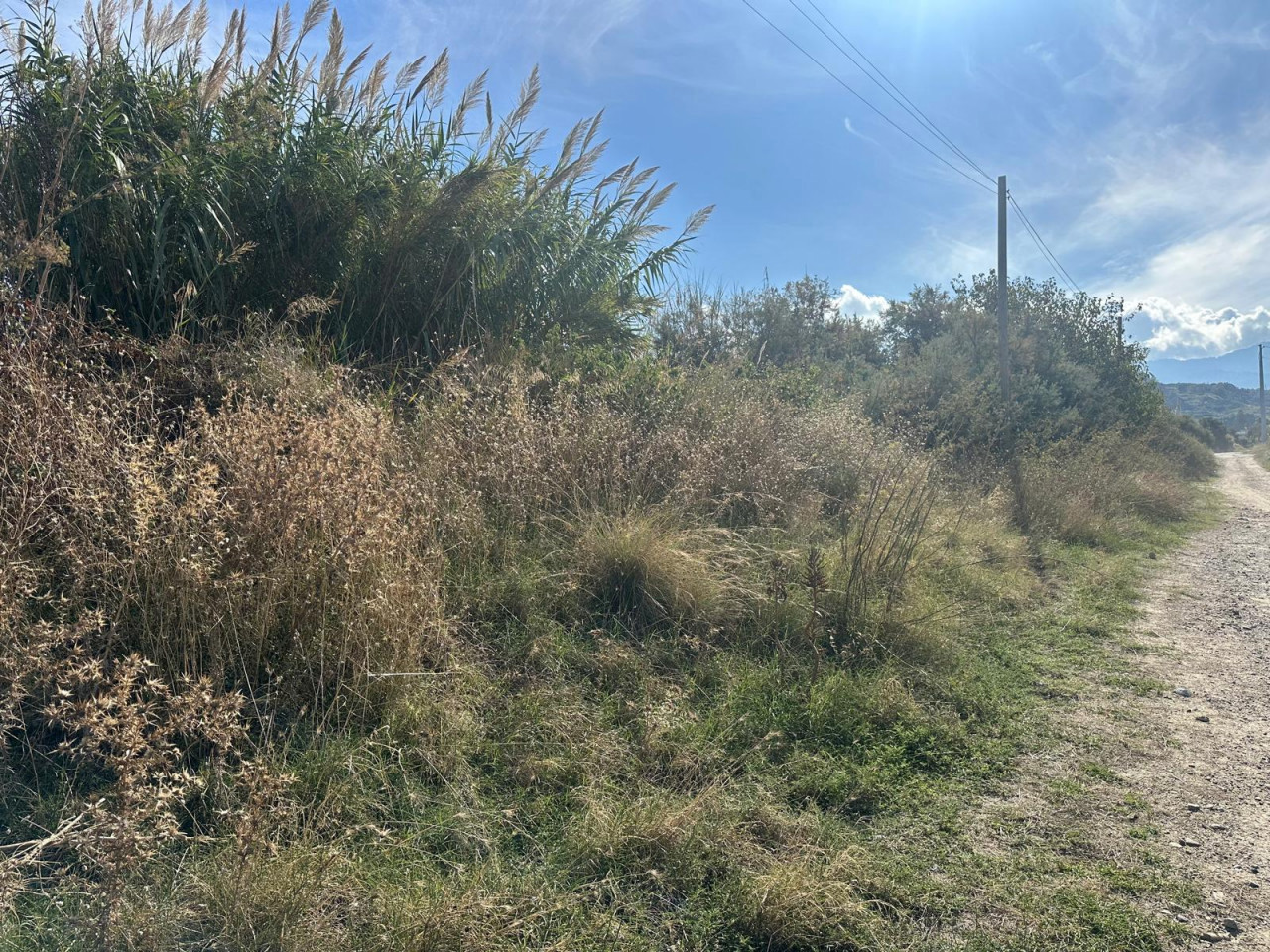 Terreno Agricolo in vendita a Saponara