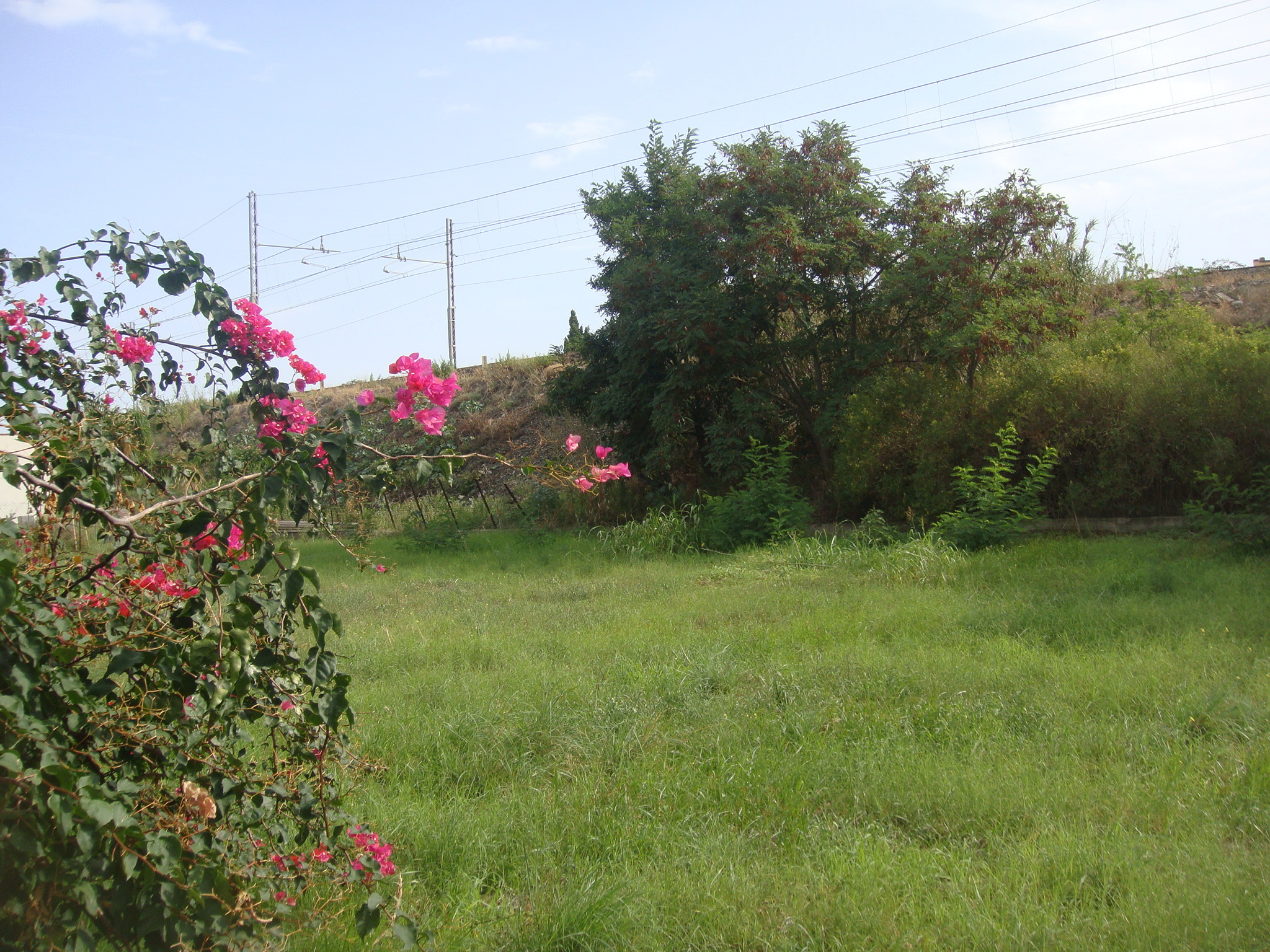 Terreno Industriale in vendita in via fontanella 50, Reggio Calabria