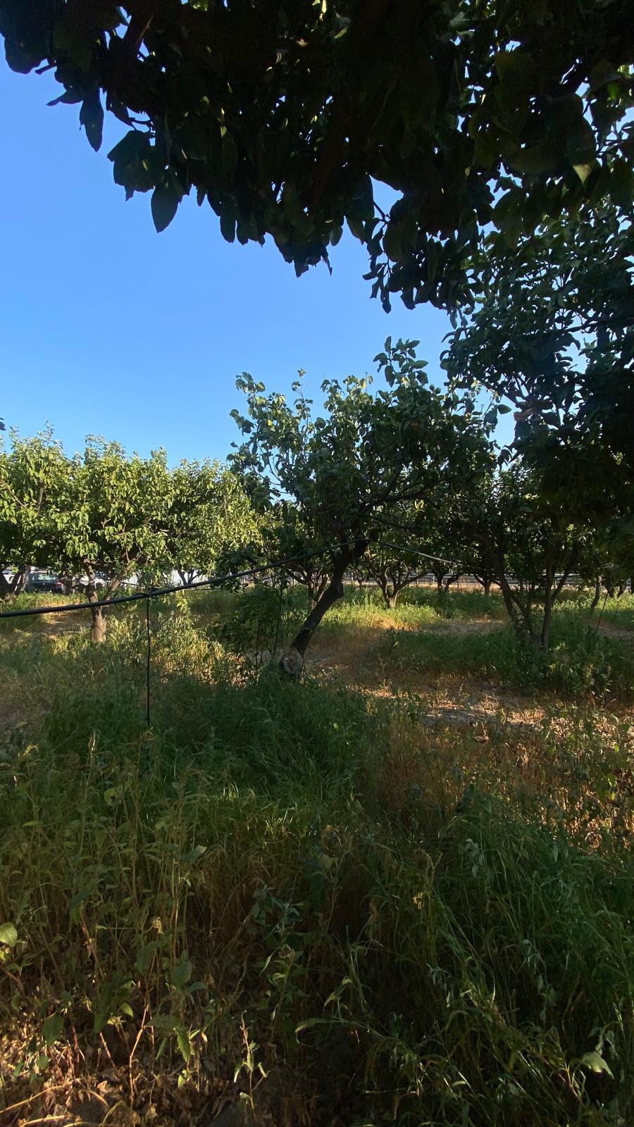 Terreno Industriale in vendita in via notaro 18, Melito di Porto Salvo