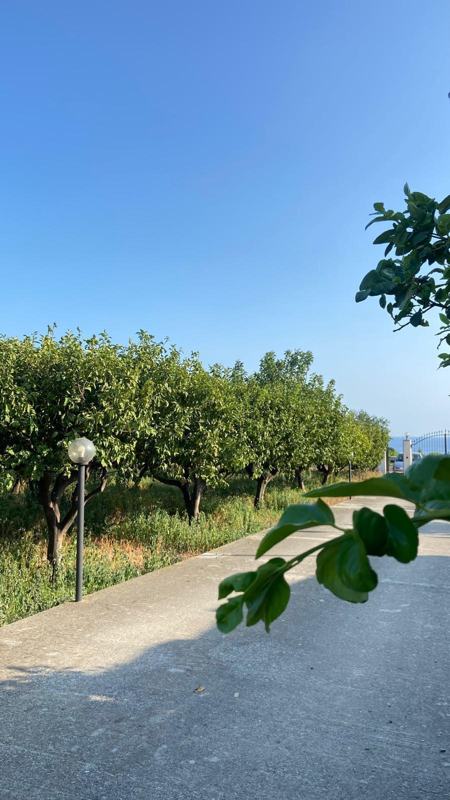 Terreno Industriale in vendita in via notaro 18, Melito di Porto Salvo