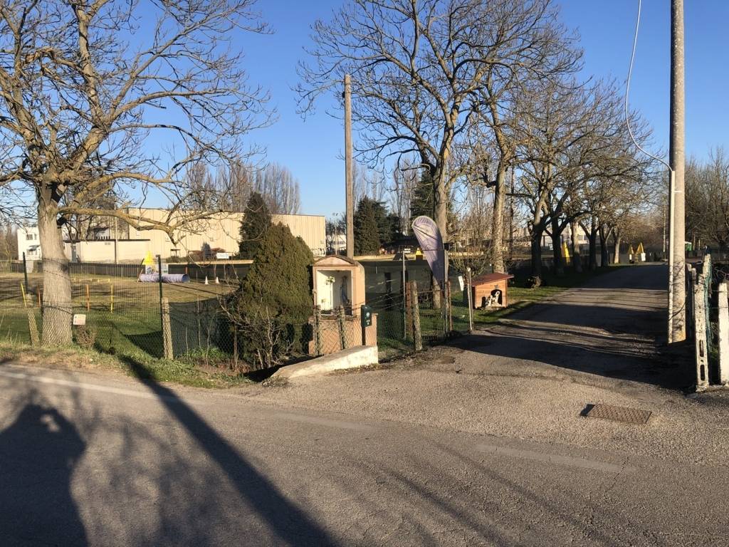 immagine annuncio 1 di 6